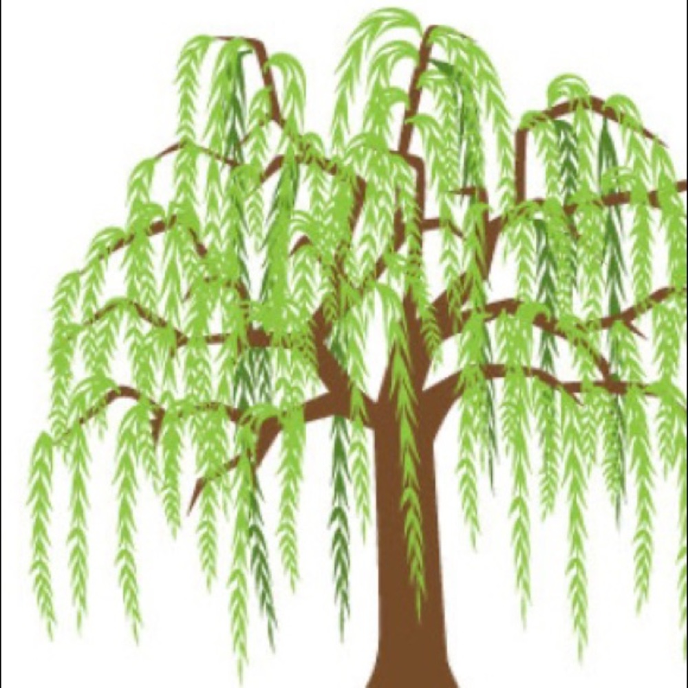 Meet your Posher, Lindsay